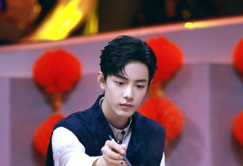 肖战心理医生爆料视频,揭秘明星内心世界与心理压力